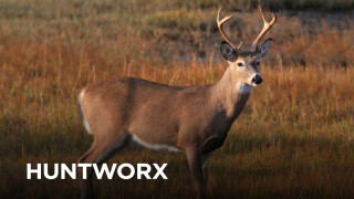Huntworx