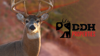 Deer & Deer Hunting Properties