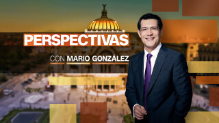 Perspectivas con Mario González