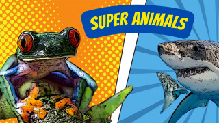 Super Animals