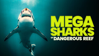 Megasharks of Dangerous Reef