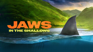 Jaws in the Shallows