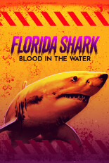 Florida Shark: Blood in the Water