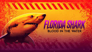 Florida Shark: Blood in the Water