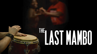 The Last Mambo