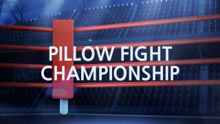 Pillow Fight Championship