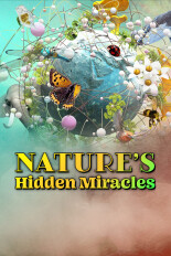 Nature's Hidden Miracles