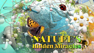 Nature's Hidden Miracles