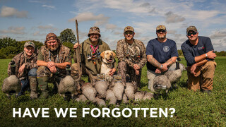 Have We Forgotten?