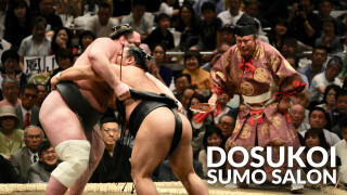DOSUKOI Sumo Salon