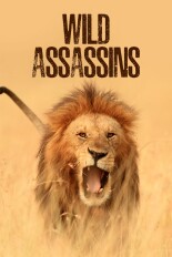Wild Assassins
