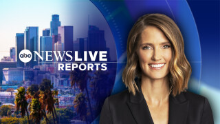 ABC News Live Reports