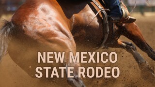 New Mexico State Rodeo