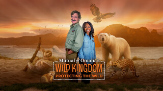 Mutual of Omaha's Wild Kingdom Protecting the Wild