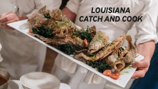 Louisiana Catch and Cook