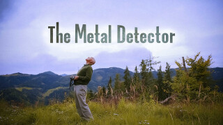 The Metal Detector