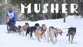 Musher