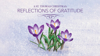 A St. Thomas Christmas: Reflections of Gratitude