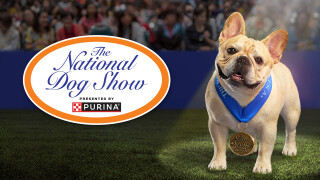 The National Dog Show