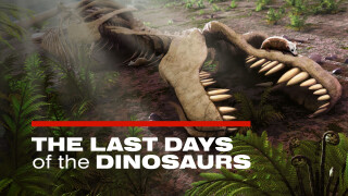 The Last Days of the Dinosaurs: What Really Happened (We're Pretty Sure)