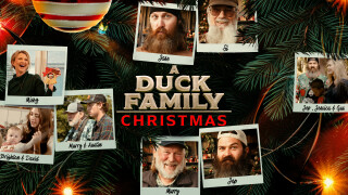 A Duck Family Christmas