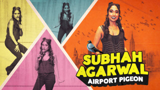 Subhah Agarwal: Airport Pigeon