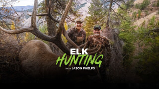 Elk Hunting With Jason Phelps