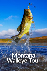 Montana Walleye Tour