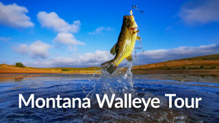 Montana Walleye Tour