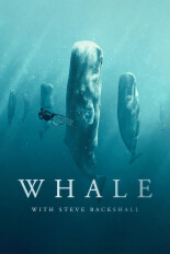 Whale with Steve Backshall