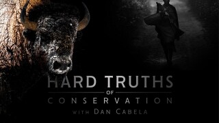 Hard Truths Of Conservation