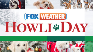 Fox Weather Howl-iday Special