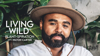 Living Wild: Plant-spiration With Hilton Carter