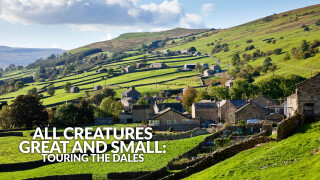 All Creatures Great and Small: Touring The Dales