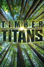 Timber Titans