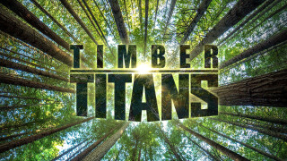 Timber Titans