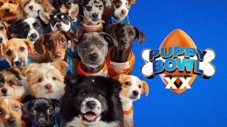 Puppy Bowl XX