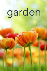 Girl Next Door Gardening by Carolyn Gracie