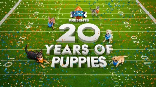 Puppy Bowl Presents: 20 Years of Puppies