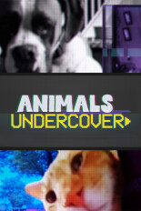 Animals Undercover