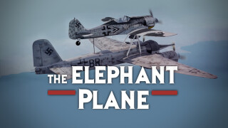 The Elephant Plane