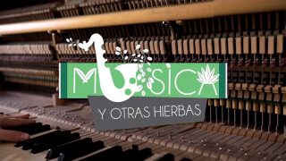 Música y otras hierbas