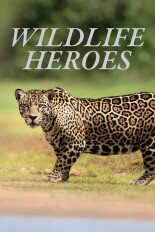 Wildlife Heroes