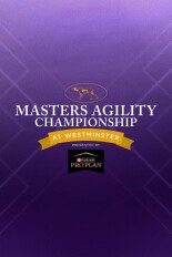 The Masters Agility Championship at Westminster