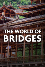 The World of Bridges