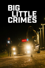 Big Little Crimes