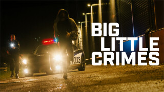 Big Little Crimes