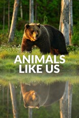 Animals Like Us
