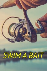Swim A Bait