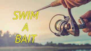 Swim A Bait
